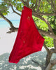 Video of the Apollo Swim Brief in Chilli Red in motion
