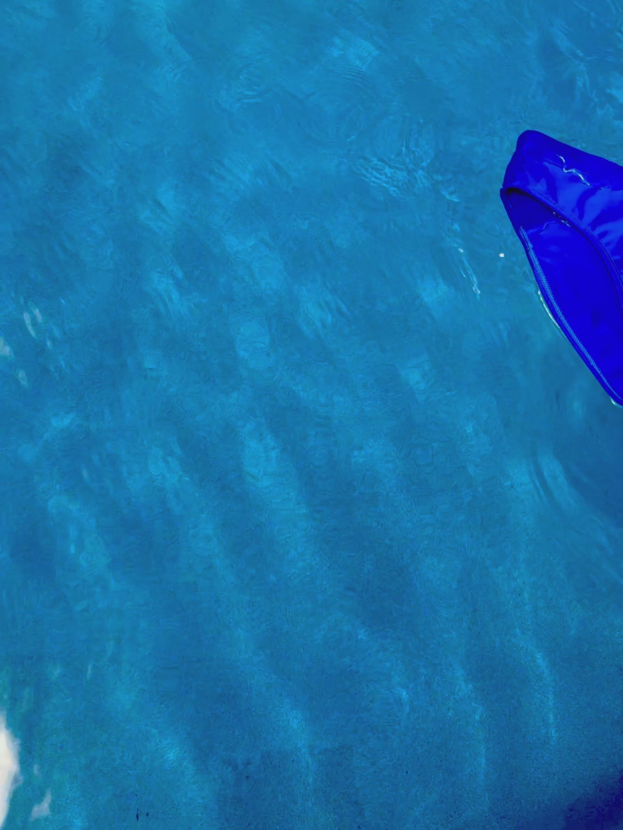 Apollo Swim Brief - Klein Blue